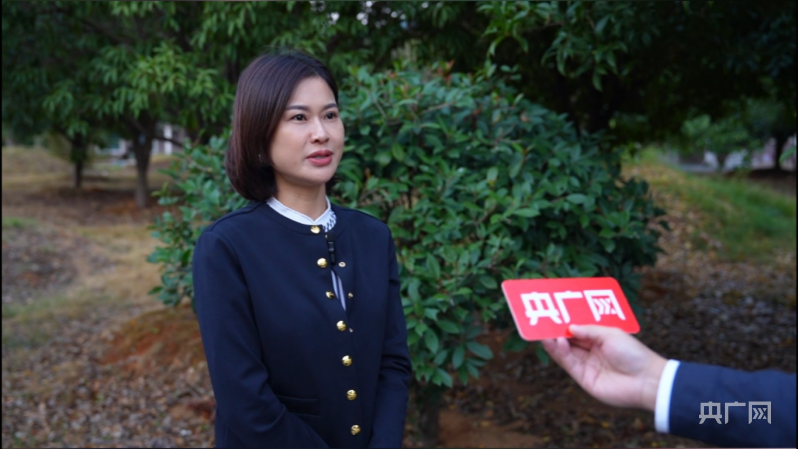 走进园区看企业｜三泰新材：让金属材料实现“DNA”定制(图4)